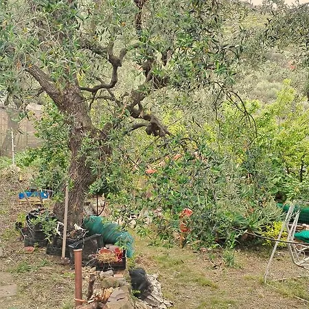 Agriturpantan